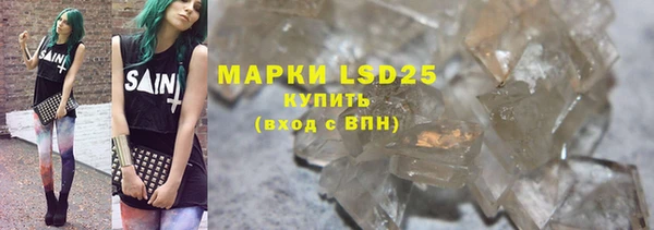 гашик Вяземский