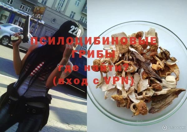 гашик Вяземский