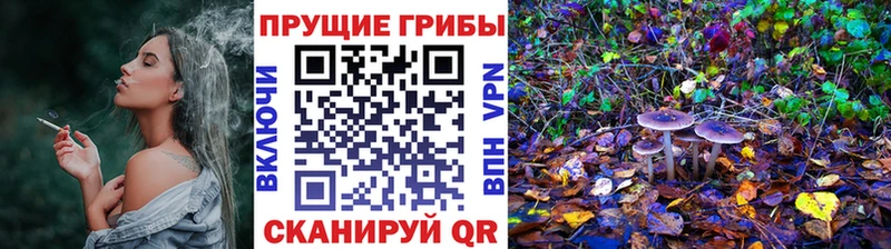 Галлюциногенные грибы ЛСД  где купить наркоту  Зубцов 